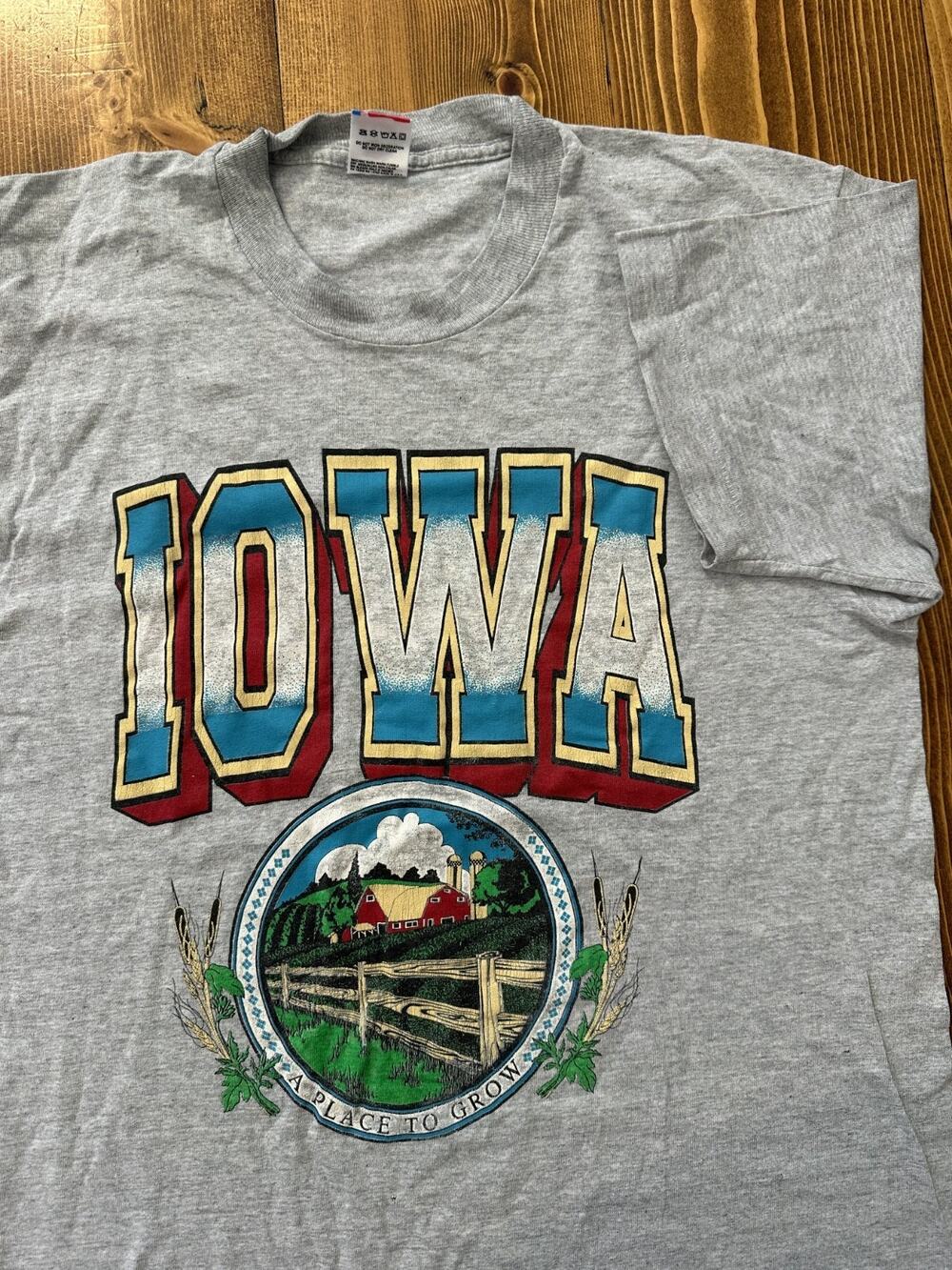 Vintage 90's Iowa State Fruit of the Loom Single Stitch Vtg Tee Shirt Large